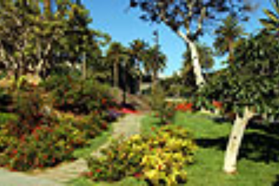 Parques y Jardines
