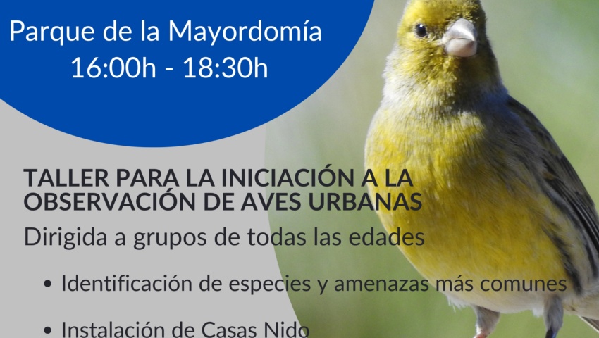 AVES EN MI CIUDAD: Talleres de avifauna para todas las edades