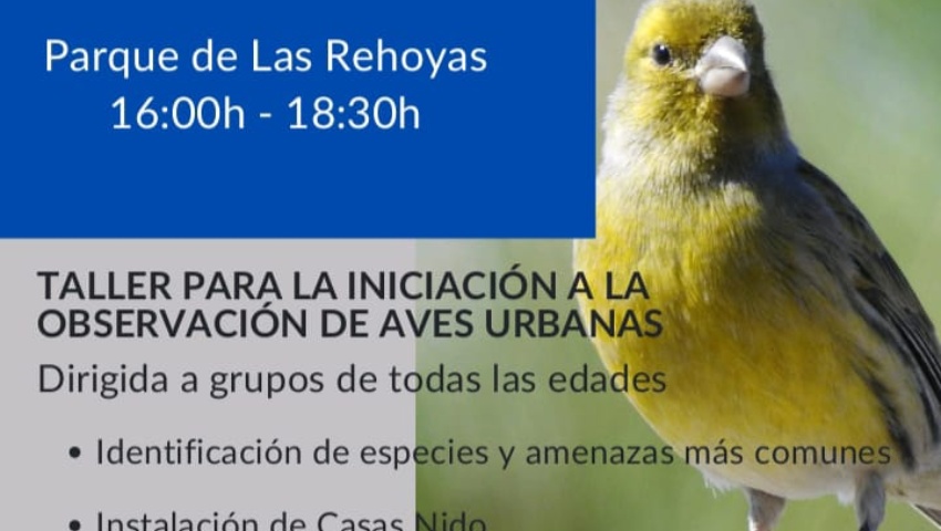 CANCELADO  «Aves en mi ciudad» en Las Rehoyas
