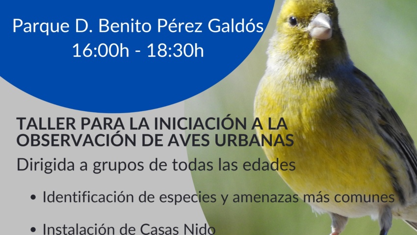 AVES EN MI CIUDAD: Talleres de avifauna para todas las edades