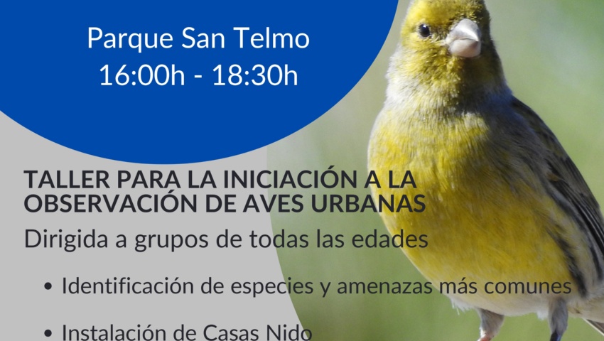 Aves en mi ciudad: taller de avifauna en San Telmo