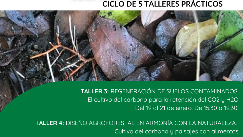 Taller 5 Agricultura Regenerativa
