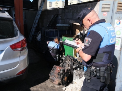 Imagen 04 PL Tarahales.jpeg